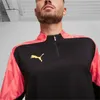 Puma Individualfinal Ff. 14 Zip-top 65926257 Herren Produktbild-Vorschau 4