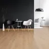 Wandfarbe Trendfarbe New Black schwarz innen matt Schöner Produktbild-Vorschau 2