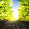 Jiubiaz Unkrautvlies Gartenvlies Schutzvlies Unkrautfolie Produktbild-Vorschau 5