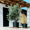 Two potted plants, one with green foliage and the other with dry grass, are placed on a stone ledge in front of a white building with a dark door and a wooden roof structure. Náhľad obrázku produktu