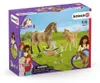 schleich HORSE CLUB Sarahs Tierbaby-Pflege, Horses, 5 Produktbild-Vorschau 12