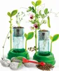 Clementoni Clementoni Galileo Botanica e Idroponica 59065 Anteprima dell’immagine prodotto 11