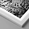 Gerahmtes Poster - Weißer Rahmen - Leopard Panther Katze - Produktbild-Vorschau 2