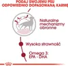 Royal Canin Adult Medium BF 4kg Zbilansowana Sucha Karma Podgląd zdjęcia produktu 13