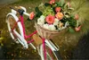 Portapacchi in vimini, cestino da bicicletta per il Anteprima dell’immagine prodotto 3