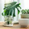 12er-Set Kerzenlaternen aus Glas mit Henkeln Produktbild-Vorschau 4