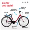 26 Zoll Kinderfahrrad, 3-Gang Nexus, Rücktritt (N3), Produktbild-Vorschau 5