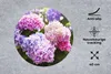 MuchoWow® Mauspad Mousepad Blumen - Hortensie - Rosa - Produktbild-Vorschau 2