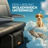Katzentransportbox anthrazit 44x34x31cm bis 20kg Produktbild-Vorschau 9