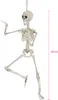 Dekoracja na Halloween szkielet biały 48 cm - jeden rozmiar Podgląd zdjęcia produktu 4