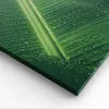 Bild auf Leinwand - Leinwandbild - 3 Teile - Makro Blatt Produktbild-Vorschau 5