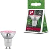 Paulmann Grow Green Edition Filament 230V LED reflektor Náhľad obrázku produktu 1