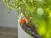 Gardena Micro-Drip-System Set Balkon (15 Pflanzen) Produktbild-Vorschau 27
