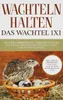 Wachteln halten - Das Wachtel 1x1 Produktbild-Vorschau 4