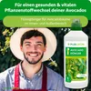 Purgrün -Avocado-Dünger 1 Liter, Produktbild-Vorschau 2