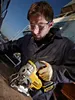 DeWalt DCS 331 NT Seghetto alternativo a batteria 18V XR in Anteprima dell’immagine prodotto 13