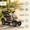 Seniorenmobil P4000, lithiová baterie, 25 km/h, 1000 W, Náhled obrázku produktu 1
