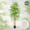 Bamboo Kunstpflanze 180 cm mit echtem Holzstamm Design Produktbild-Vorschau 2