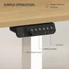 FLEXISPOT Höhenverstellbarer Schreibtisch Elektrisch Produktbild-Vorschau 6