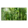 DEQORI Glasbild Echtglas 100x50 cm 'Mitten im Dschungel' Produktbild-Vorschau 2