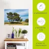 ARTland Wandbild, selbstklebend Küstenwald auf dem Produktbild-Vorschau 2