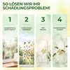 Fenster Wespenfallen mit Spezial-Lockstoff – 9x Fallen – Produktbild-Vorschau 7