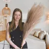LAYBA Künstliches Pampasgras 3er-Set Braun 100 cm, 18 Produktbild-Vorschau 6