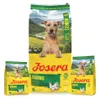 Josera Hundetrockenfutter Senior Balance 12,5 kg Huhn & Produktbild-Vorschau 8