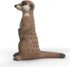 Schleich GmbH Meerkat Altro Anteprima dell’immagine prodotto 7