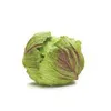 Oxo Greensaver? Scatola per alimenti freschi 4 l Anteprima dell’immagine prodotto 11