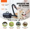 A person is using a pet dryer on a dog, with feature callouts and different dog size recommendations. Náhled obrázku produktu