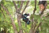 Makita DUC150Z01 Akku-Astsäge 15cm Solo 18V Li-Ion ohne Produktbild-Vorschau 12