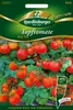 Quedlinburger Saatgut - Topftomate Tiny Tim - Samen - Produktbild-Vorschau 1