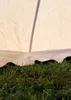 Ritterzelt Herold, 4 x 4 m Produktbild-Vorschau 3