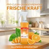 1 Liter ideal pro-clean Orangenreiniger Produktbild-Vorschau 1