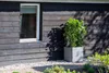 A square planter with a green plant sits next to a dark wooden wall with a window. Produktbild-Vorschau