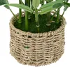 Bambù artificiale in vaso, 46 cm Anteprima dell’immagine prodotto 6
