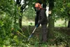 Akku-Teleskop-Hochentaster GKE 18V-25 TP Produktbild-Vorschau 12