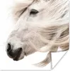 MuchoWow® Poster Pferd - Mähne - Weiß 100x100 cm - Produktbild-Vorschau 1