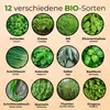 Seedhero  Kräutersamen-Set mit 12 Sorten Produktbild-Vorschau 2