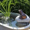 CLGarden Wasserspeier Komplettset Frosch auf einem Stein Produktbild-Vorschau 3