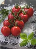 ARTland Wandbild, selbstklebend Tomaten Rispe auf Salz Produktbild-Vorschau 1