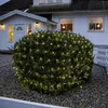 A bush decorated with LED lights in front of a house at dusk. Podgląd zdjęcia produktu