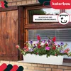 A white oval flower box filled with colorful petunias sits on a brick ledge below a wooden window shutter and blinds. Podgląd zdjęcia produktu