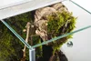 Terrarium aus Glas 15x15x20 cm mit Falltür für Spinnen Produktbild-Vorschau 3