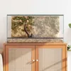 vidaXL Terrario con contenitore trasparente 80 x 40 x 40 cm Anteprima dell’immagine prodotto 4