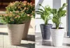 Blumentopf SAHARA SLIM WEISS 35 x 68 cm Produktbild-Vorschau 2