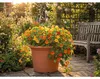 Pflanzkübel Campanula Kunststoff Ø 68 cm H 45,8 cm Produktbild-Vorschau 5