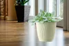 A light yellow planter with a succulent plant sits on a wooden floor in front of a window. Anteprima dell’immagine prodotto