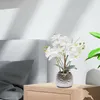 Kunstpflanze Künstliche Orchidee mit Topf Kunstblume Produktbild-Vorschau 9